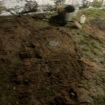 photo_2025-11-18_10-10-23